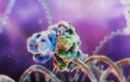 人体癌症细胞：医学演示动画