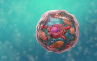 生物科技细胞结构：医学动画